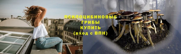 метадон Зеленокумск