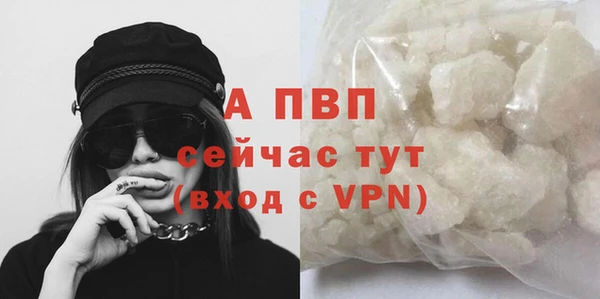 ECSTASY Заволжск
