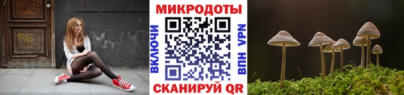 Купить закладки  Новый Оскол  Псилоцибиновые грибы ЛСД 